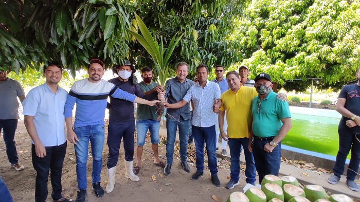 Prefeitura inicia processo de entrega de 7 mil mudas de coco nos Núcleos Habitacionais e São Gonçalo